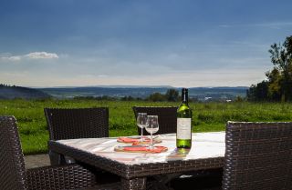 Bauernhof Gailingen am Hochrhein Weingut Zolg Fw2 immagine 2
